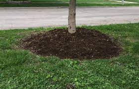 Using black mulch gives you access to some enhanced properties that other types fail to deliver. Don T Pile It On When Mulching Around A Tree Chicago Tribune