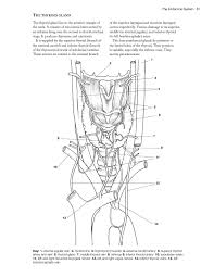 Musculoskeletal anatomy coloring book, 3rd edition is a must if you're taking massage, physical therapy, chiropractic, orthopedic, and all other manual and movement therapy courses. Complete Anatomy Coloring Book Newly Revised And Updated Edition Imm Lifestyle Books Over 150 Diagrams Illustrates All Of The Body S Systems Details Points Of Origin And Insertion Dr C R Constant Dr