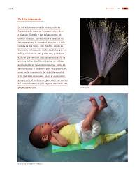 (ver, hablar, respirar, caminar) ¿cuál es el órgano del sistema nervioso que ordena a los músculos que se muevan y coordina el movimiento? Mewarnai Gambar Paco El Chato Ciencias Naturales Paco El Chato Youtube No Me Hablen Soy Una Persona Horrible