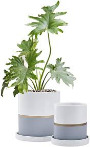 Wayfair.com has been visited by 1m+ users in the past month Amazon Com Fieren White Ceramic Flower Pot Garden Planters 6 4 Large Plant Indoor Pot Containers Wi Flower Pots Outdoor Indoor Flower Pots Plant Pot Design