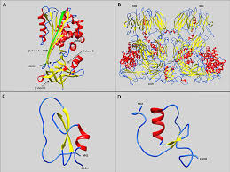 Reversible inhibitor of serine and cysteine proteases. Frontiers Serine Protease Inhibitors In Ticks An Overview Of Their Role In Tick Biology And Tick Borne Pathogen Transmission Cellular And Infection Microbiology
