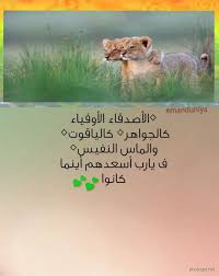 اليوم نقدم لك الكثير من قصائد مدح الرجال قصيرة وقوية في نفس الوقت ومن احلى القصائد المميزة عن الشهامة والرجولة. Ù‚ØµØ§Ø¦Ø¯ Ù…Ø¯Ø­ Ø§Ù„Ø±Ø¬Ø§Ù„ Ø§Ù„ÙƒÙÙˆ Ù‚ØµØ§Ø¦Ø¯ ÙˆØ§Ø¨ÙŠØ§Øª ÙÙ‰ Ù…Ø¯Ø­ Ø§Ù„Ø±Ø¬Ø§Ù„ Ø§Ù„ÙƒÙÙˆ Ø¹Ø¨Ø§Ø±Ø§Øª