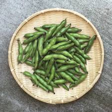 Image result for Vicia faba