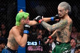 Edit tapology wikis about fighters, bouts, events and more. Io3f08lp36x5cm