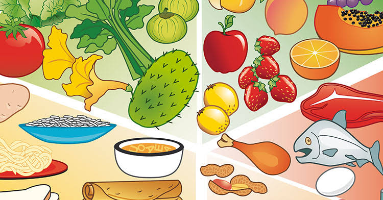 Resultado de imagen de alimentacion"
