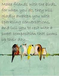 Make Friends With The Birds One Of The Thinks I Love About Working In The Garden Is How The Birds Talk To You Howtobirdwatch Bird Quotes Bird Cool Words