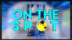 Demam berdarah on the spot trans 7 terbaru 15 nopember 2017. Ingin Tampil Di Televisi Inilah Cara Yang Patut Kamu Coba Bengkulutoday Terkini Dan Aktual