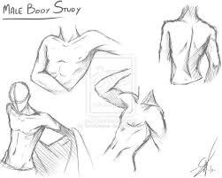Male Body Study By Soracooper On Deviantart Male Body Drawing Drawing Anime Bodies Body Drawing