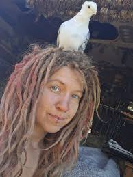 Should I disrupt my pigeon's nesting habits?