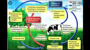 Tingkatan 1 sains pt3 kitar karbon dan kitar oksigen. Sains Tingkatan 2 2 2 Kitar Nutrien Kitar Air Kitar Karbon Kitar Oksigen Kssm Sainsf2 Cute766
