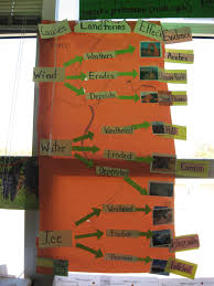 Pin By Wendy Carroll On Earth Science Science Teks Science Word Wall Science Lessons