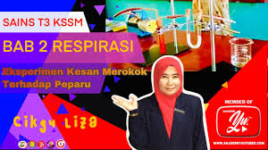 Ia merbahaya untuk kesihatan dan buktinya terlalu banyak sehingga tidak ada alasan untuk dihujah. Eksperimen Kesan Merokok Terhadap Peparu Youtube