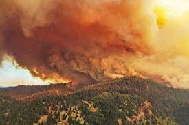 The city of vernon has confirmed tactical evacuations are underway along clerke. Sxufhbzeg60kjm