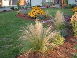 How To Build A Deer Proof Garden Deer Resistant Landscaping Deer Resistant Garden Landscape Design