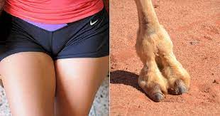 Another woman proudly shows off her camel toe tattoo in a post on twittercredit: Camel Toe Thread Cardiff City Forum Cardiff City Forum
