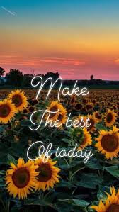 Make The Best Of The Time You Re Given Sunflower Wallpaper Aesthetic Wallpapers Sunflower Iphone Wallpaper
