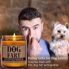 Dog Fart's Instagram, Twitter & Facebook