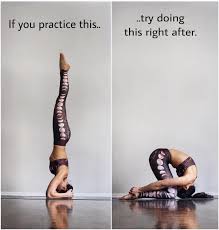 Counterposes A New Blog Post So Much Of The Time We Focus On What Poses We Need To Work On Yoga For Flexibility Learn Yoga Body Inspiration Motivation