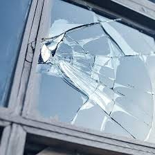Vogel Fliegt Gegen Fenster Was Kann Man Dagegen Tun