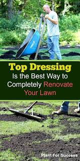 How To Top Dress Your Lawn In 2020 Overseeding Lawn Lawn Renovation Lawn Care Business