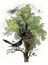 Bird On Tree Drawing Bird Nest Drawing Reusableart Com Humming Bird Art Tree Drawing Bird Drawings