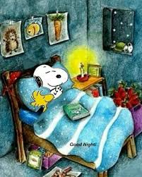 Snoopy Woodstock Sleeping Home Decor Print Great Gift For Child Birthday Office Art Nursery Deco For Ch Snoopy And Woodstock Goodnight Snoopy Snoopy Christmas