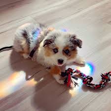 By itself, it is an interjection that roughly means hey, everybody be nice and get along ! bill wanted chicken for dinner, but martha only wanted salad. Two Best Things Puppies And Rainbows Album On Imgur