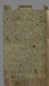 Image result for Coronopus integrifolius