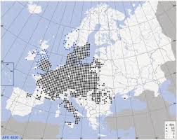 Several people were arrested, according to austrian media. Biological Flora Of The British Isles Crataegus Laevigata Thomas 2021 Journal Of Ecology Wiley Online Library