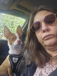 I have a 1 yr old male. When he gets anxious or too tired he bites. Hasn't  broken the skin but I am starting to get worried. Any tips or suggestions  welcome