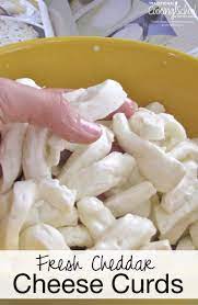 Easy Way To Make Delicious Fresh Cheddar Cheese Curds Homemade Cheese Curds Cheese Recipes Homemade Cheddar Cheese Curds