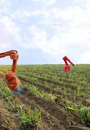 Malaysian agricultural research and development institute (mardi. Fundamental Research On Unmanned Aerial Vehicles To Support Precision Agriculture In Oil Palm Plantations Intechopen