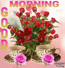 Https Encrypted Tbn0 Gstatic Com Images Q Tbn And9gctnoh8cbbyutre5n Jaa7uqdkiqbv25spview Usqp Cau