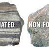 Types of organic sedimentary rocks. 3