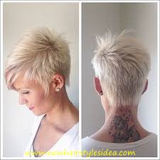 These mahogany hair colours are sure to inspire. Mens Blonde Hairstyles Images About Mens Colored Hair On Pinterest Men Hair Color 2021