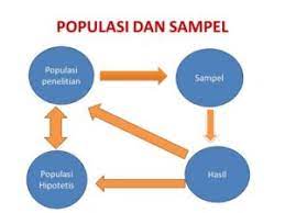 Mendefinisikan populasi dan memahami sampel adalah hal yang harus dilakukan oleh seorang peneliti sehingga dapat dengan tepat menentukan populasi dan sampel dalam penelitiannya. Apa Itu Populasi Dan Sampel Dalam Penelitian Universitas Raharja