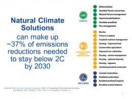 Find ways to make a cleaner canada more affordable. Natural Climate Solutions Conservation In A Changing Climate