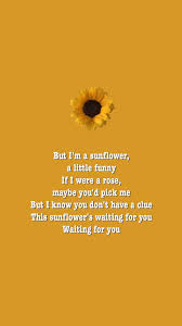 Sierra Burgess Is A Loser Movie Quotes Jamey Noah Centineo Sunflowers Poem Veronica Aesthetic Song Netflix Origina Sunflower Poem Sunflower Quotes Loser Quotes