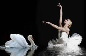 El lago de los cisnes musica. El Lago De Los Cisnes En Valencia Love Valencia