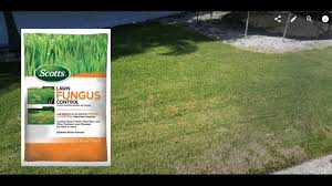 What is scotts disease ex lawn fungide? Review About Scotts 6 75 Lb Ready To Use Lawn Fungus Control From Home Depot Youtube
