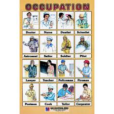 Chart No 27 Occupation