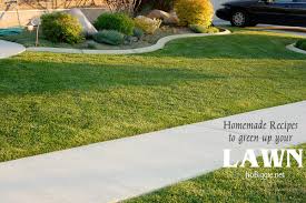 If you are having a problem in your lawn such as spots that are dying off or yellowing, we can help with a visual inspection. Homemade Recipe To Green Up Your Lawn Nobiggie Net