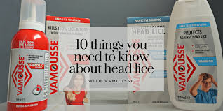 10 Things You Need To Know About Head Lice With Vamousse Yorkshire Tots