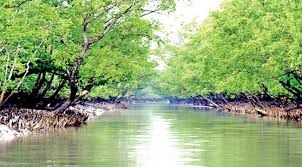 আজকের ভোলা - ভোলার পর্যটন: প্রাকৃতিক সৌন্দর্যে ভরা অপরিসীম সম্ভাবনার দ্বীপ