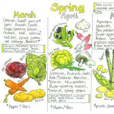 Seasonal Uk Fruit And Vegetable Chart By Liz Cook