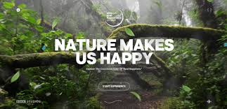 Each color scheme contains the html color codes you will need when coding your website template. Colors That Go With Green In Websites Colibriwp Blog