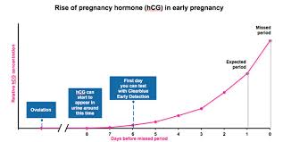 how soon can i take a pregnancy test clearblue