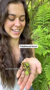 Mild Thornberries (@mildthornberries)’s videos with original sound