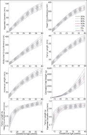 Fetal Development Chart Pdf 2019