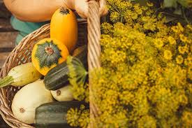 Plant seed outdoors when the soil temperature has reached 60°f—about a week after the last watering and fertilizing. Greenhouse Growing Guide Zucchini Cucumbers